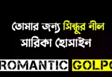 তোমার জন্য সিন্ধুর নীল শেষ পর্ব তোমার জন্য সিন্ধুর নীল - Romantic Golpo