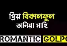 প্রিয় বিকালফুল পর্ব ৫৭ প্রিয় বিকালফুল - Romantic Golpo