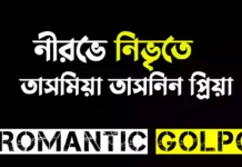 নীরভে নিভৃতে - Romantic Golpo