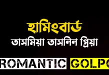 হামিংবার্ড শেষ পর্ব হামিংবার্ড - Romantic Golpo