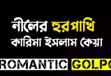 নীলের হুরপাখি পর্ব ৯+১০ নীলের হুরপাখি - Romantic Golpo