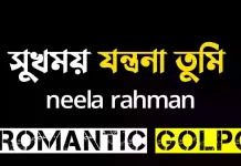 সুখময় যন্ত্রণা তুমি পর্ব ৩৩ সুখময় যন্ত্রণা তুমি - Romantic Golpo