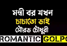 মন্ত্রী বর যখন চাচাতো ভাই - Romantic Golpo