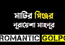 মাটির পিঞ্জর পর্ব ৩৩ মাটির পিঞ্জর - Romantic Golpo