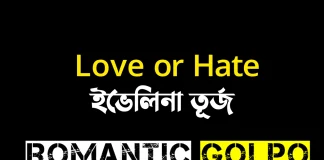 love or hate - Romantic Golpo