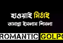 হাওয়াই মিঠাই - Romantic Golpo