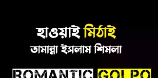 হাওয়াই মিঠাই - Romantic Golpo