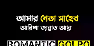 আমার নেতা সাহেব - Romantic Golpo