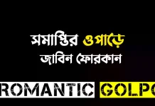 সমাপ্তির ওপাড়ে - Romantic Golpo