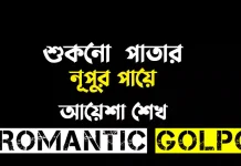 শুকনো পাতার নূপুর পায়ে পর্ব ৫ শুকনো পাতার নূপুর পায়ে - Romantic Golpo